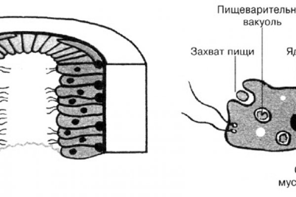 Новая ссылка кракена