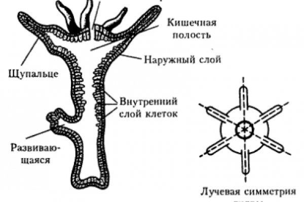 Кракен маркетплейс зайти