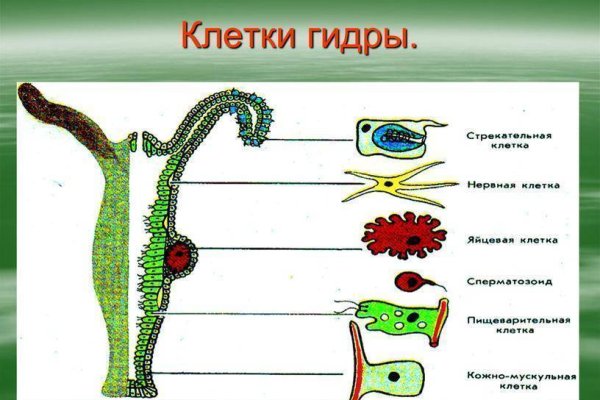 Как найти официальный сайт кракен