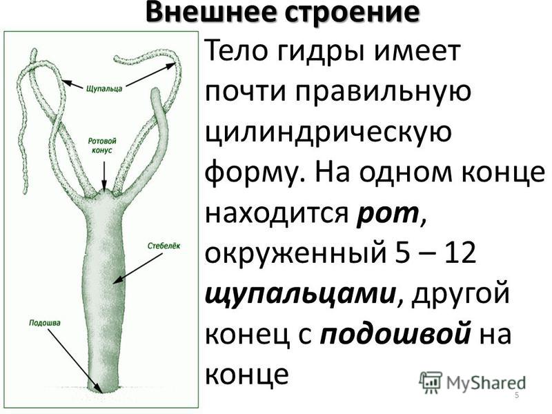 Кракен москва наркотики